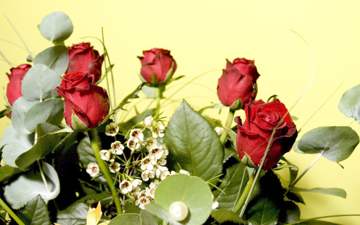487016 (a): :2560x1600